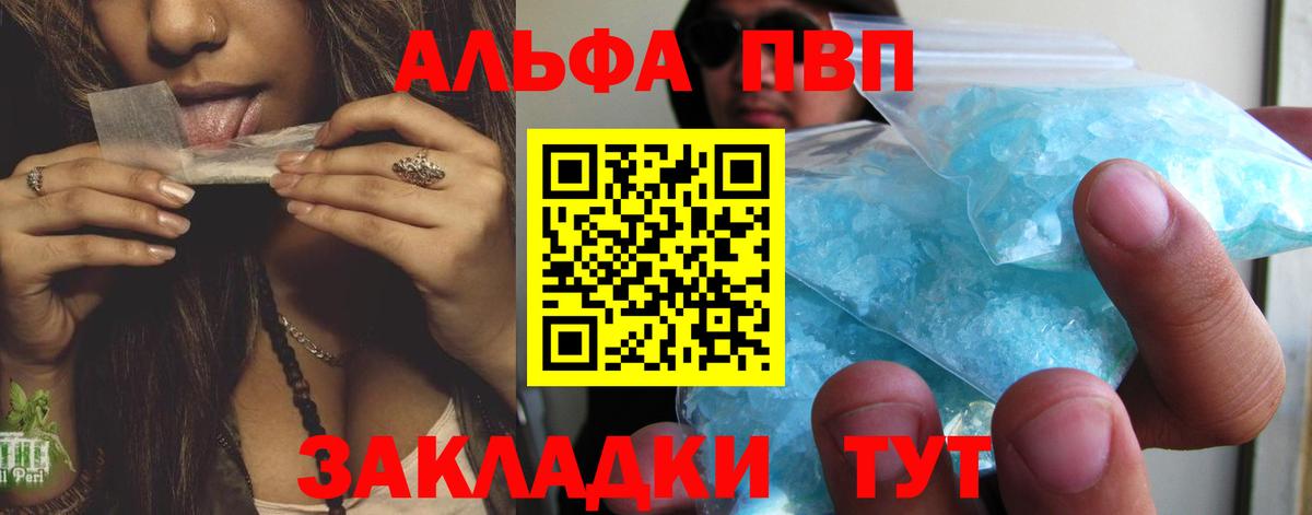 APVP СК Кузнецк