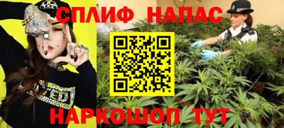 шишки Канаш