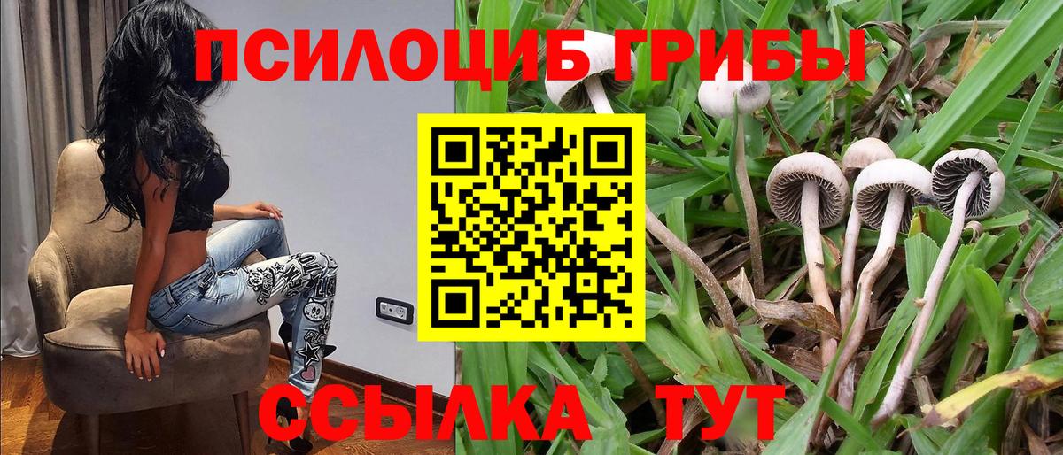 Псилоцибиновые грибы ЛСД  Галлюциногенные грибы Cubensis  Кузнецк  Вход с VPN 