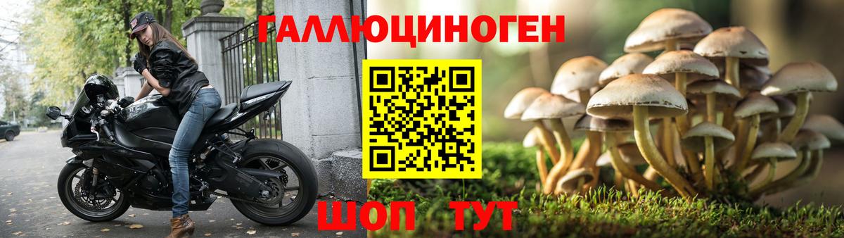 Псилоцибиновые грибы Cubensis Кузнецк